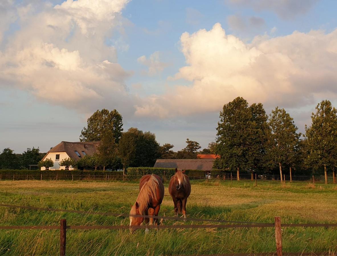B&B de Scherpenhof Leur Exterior foto